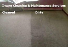 carpet steam cleaning..,.