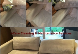 upholstery steam clean